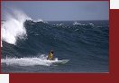 Deep Blue Open 2005