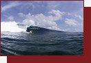 Deep Blue Open 2005