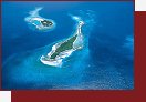 Deep Blue Open 2005