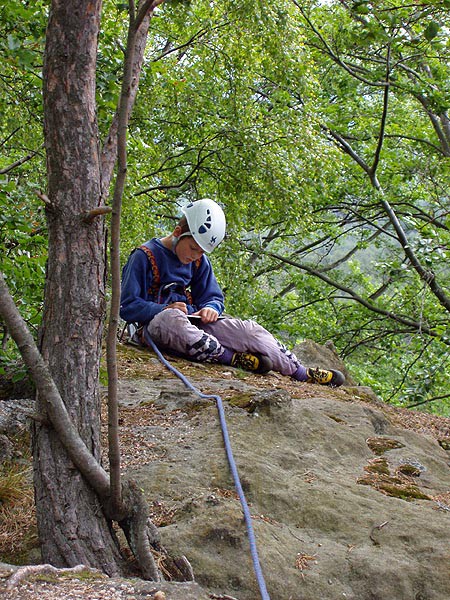 Dvnsk poles, Jedov v