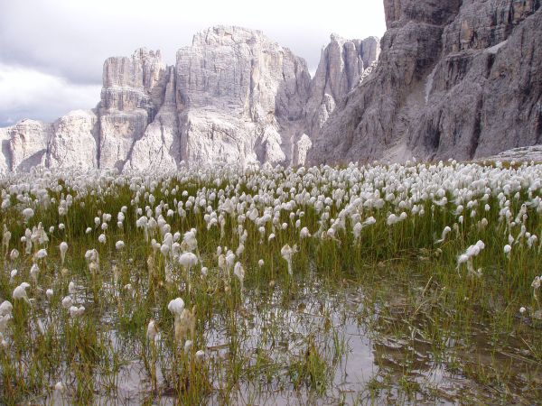 Dolomity, Sella, ferta Pisciadu