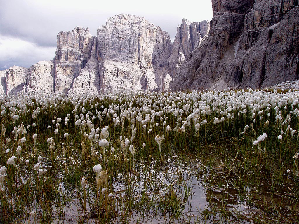 Dolomity
