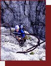 Brenta, ebk na fert SOSAT