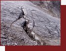 Brenta, ledovec Sfulmini