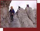 Brenta, lvka Figari