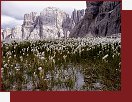Brenta, pr u chaty Cavazza