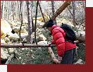 lovk je bezmocn