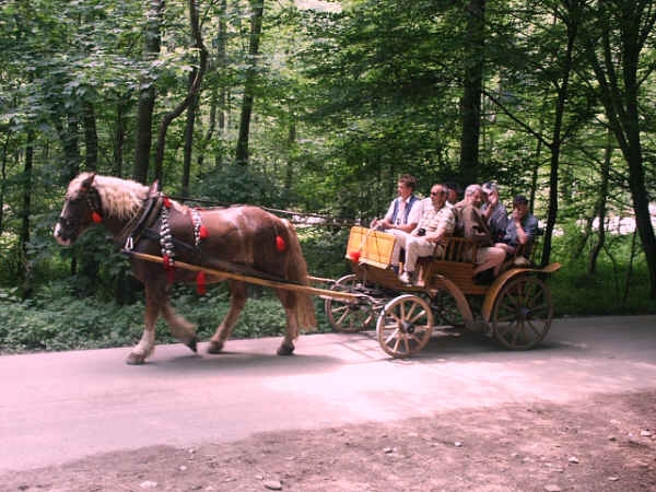 Plt na Dunajci a Orav - Horydoly.cz 