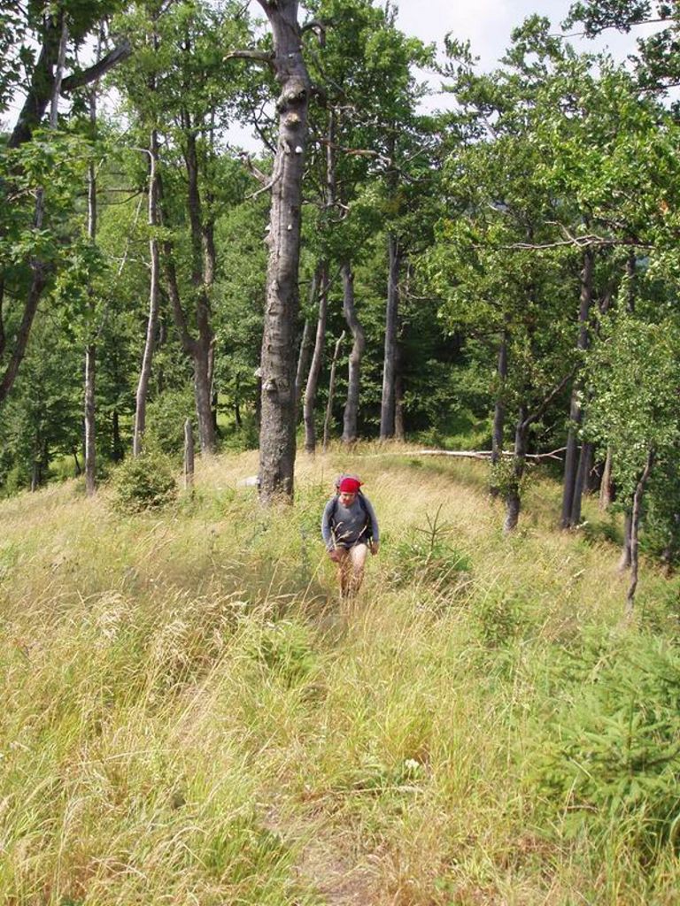 Mal Fatra, pechod hebenovky nonstop