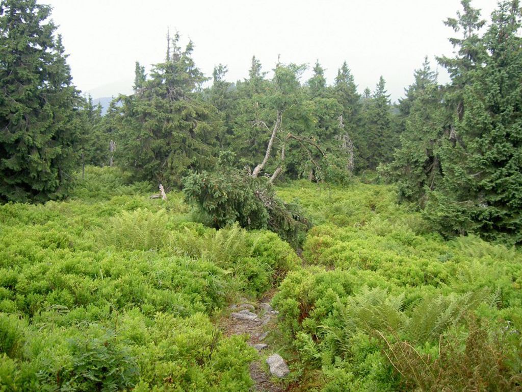 Mal Fatra, pechod hebenovky nonstop