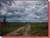 Urho Kekkonen National Park. Po nkterch stezkch je dovoleno jezdit na kole. 