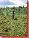 Urho Kekkonen National Park. Vstup mimo stezky povolen. 