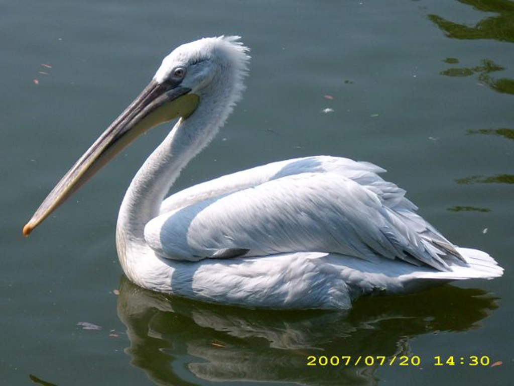 Fotosout: Soukrom dobrodrustv 2007 