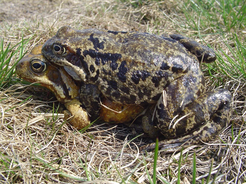 Fotosout: Soukrom dobrodrustv 2007 