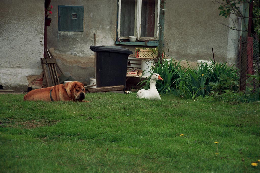Fotosout: Soukrom dobrodrustv 2007 