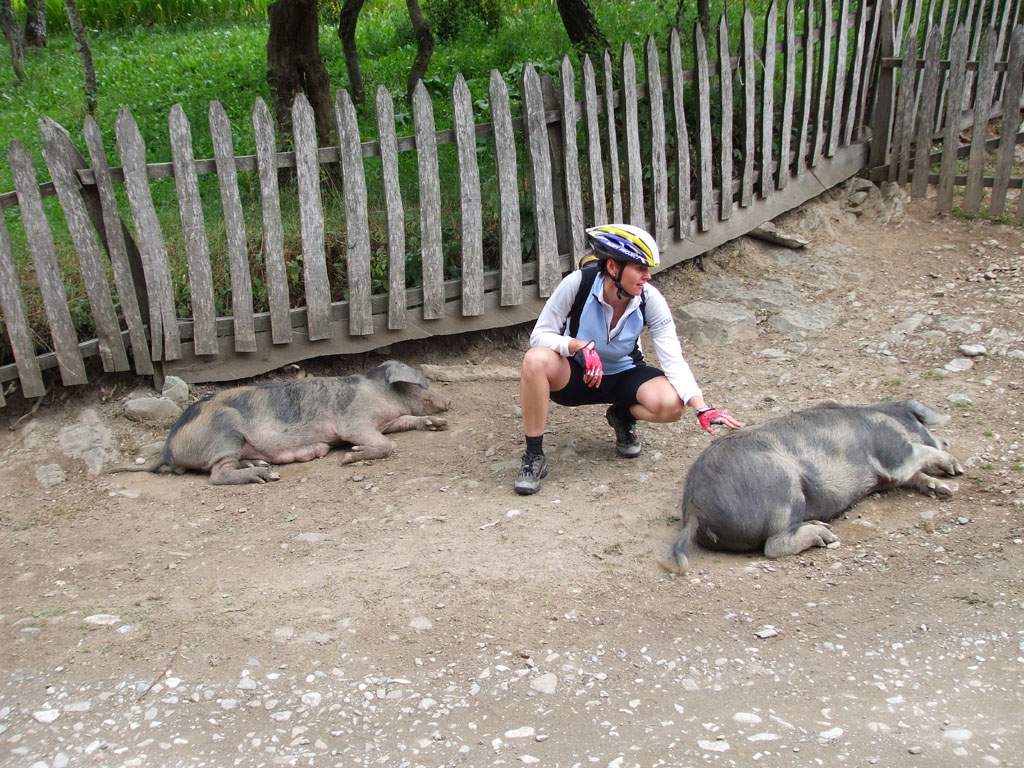Fotosout: Soukrom dobrodrustv 2007 - 2. st 