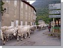 Zablokovan doprava ve Vicdessos     