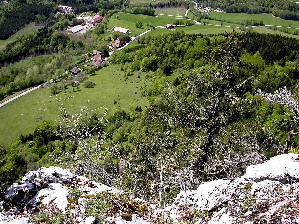 Francie, skaln lezen