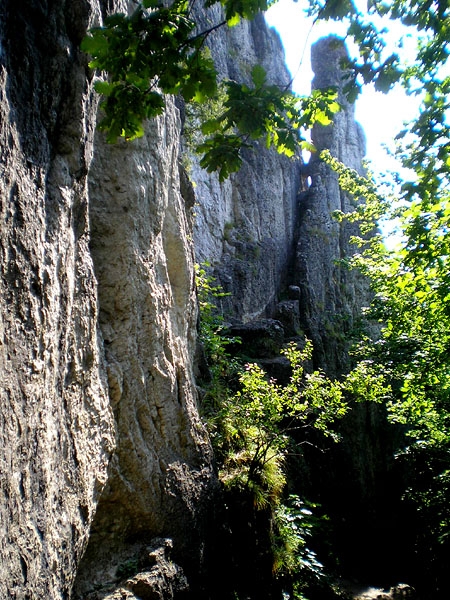 Frankenjura