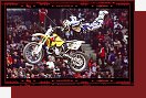 Freestyle motocross