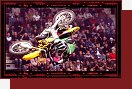 Freestyle motocross
