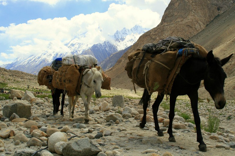 Gasherbrum I.