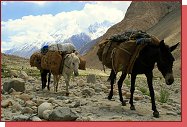 Trek po ledovci Baltoro 