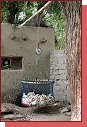 Ven nakoupench slepic 