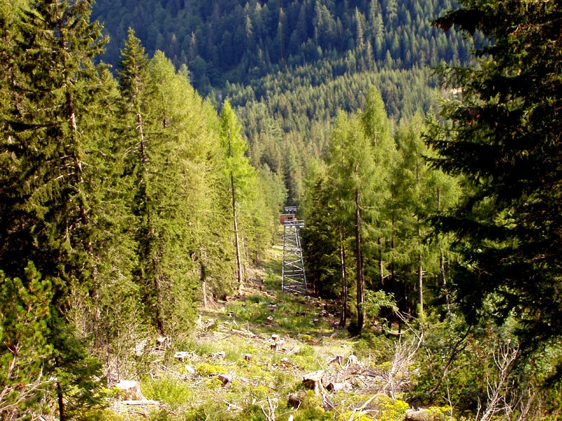 Gesuse, Buchsteinhaus 17.8.2008