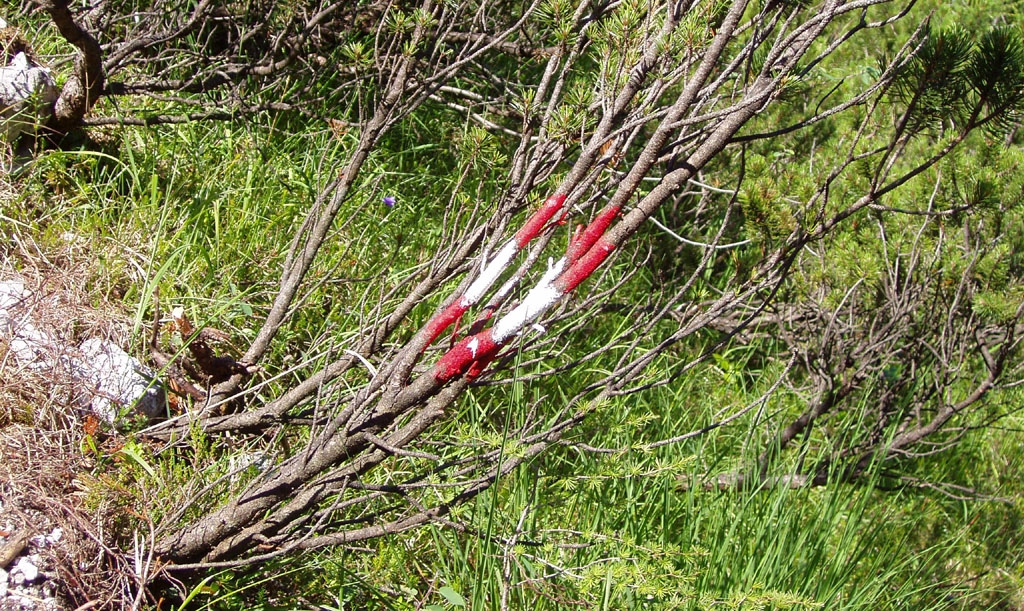 Gesuse, Planspitze, Pichlweg 3