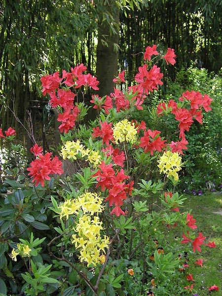 Francie, Giverny, vila a zahrada Claude Monet 