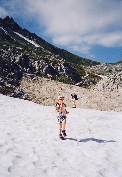 Gosaukamm, Kopfwand, Severoz�padn� hrana
