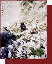 5. d�lka je travnat�, ale pevn� 