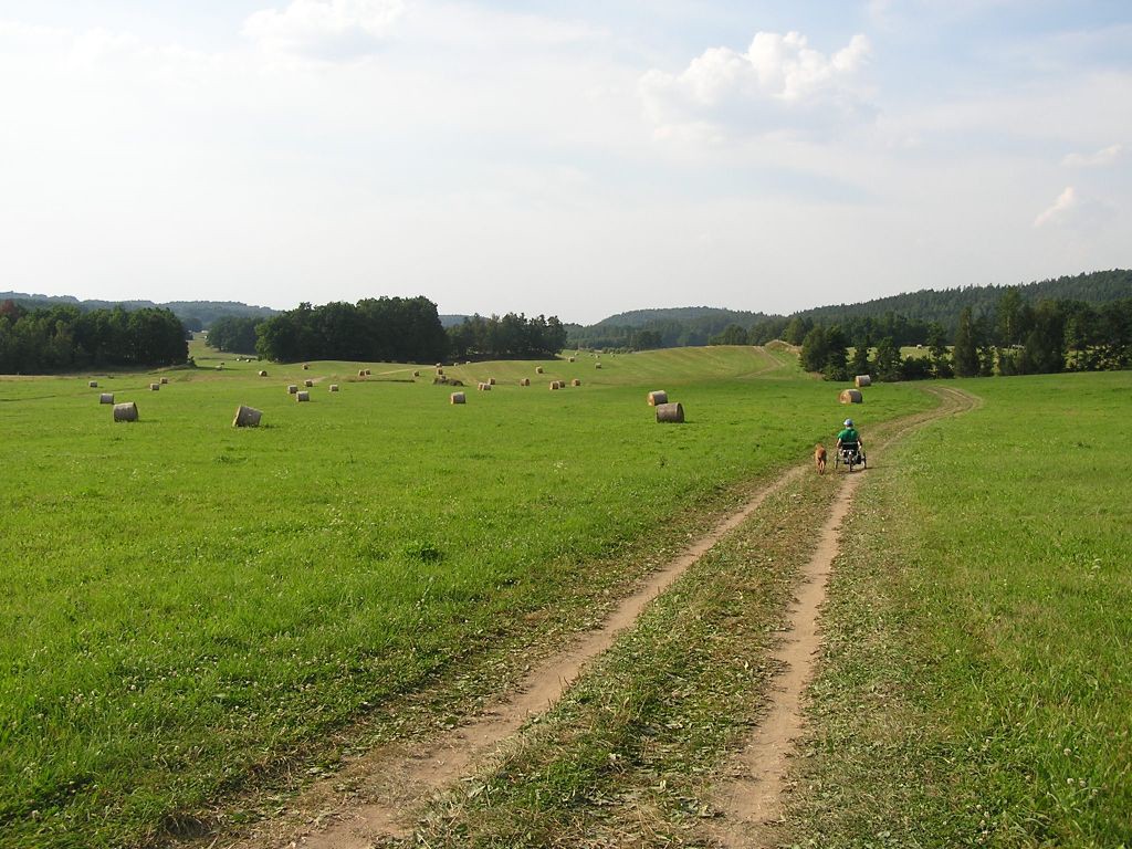 Grand Prix Silesia 2006 na vozku