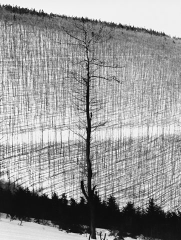 Vilm Heckel