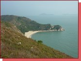 Hong Kong Dragons Back 