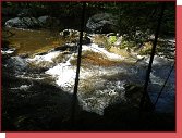 Divok eka Kamp pod Roiten 