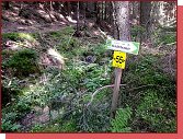 Trasa pro horsk kola Hundertwasser Weg 