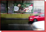 Houbařský plakát na radio Impuls visí v Argentinské ulici v Praze 