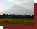 Sopka Merapi