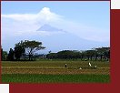 Sopka Merapi
