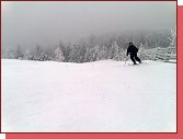 Jedlov 