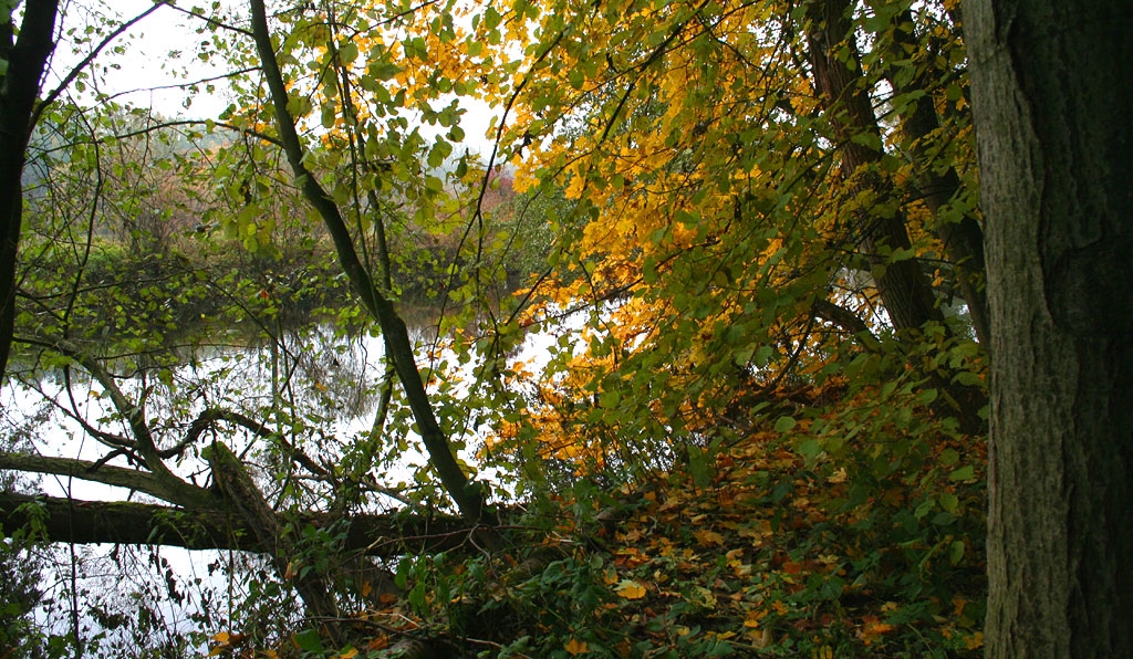 Jizera 2007