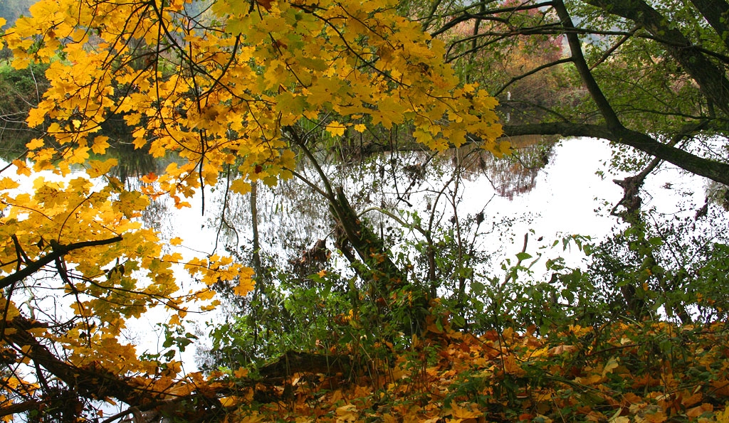 Jizera 2007