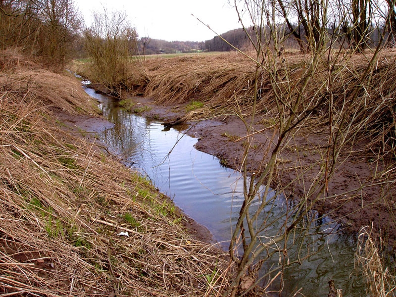 Jizera 2008
