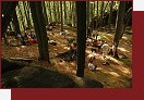 Gorila, lezen nevidomch
