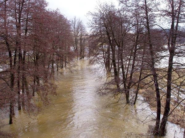Jihoesk eky a potoky 29.3.2006