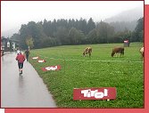Kaiser Marathon 2011. Zabloudit opravdu nelo. 