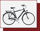 Kettler City Cruiser