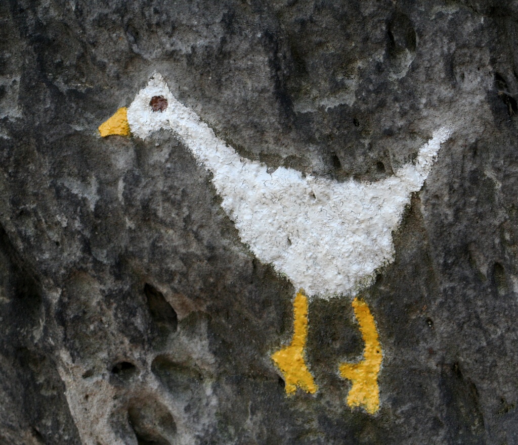 Hus okruh na Kokonsku - Horydoly.cz 